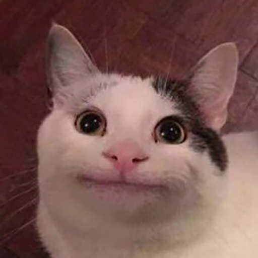 code/img/polite_cat.png